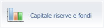 capitale riserve e fondi